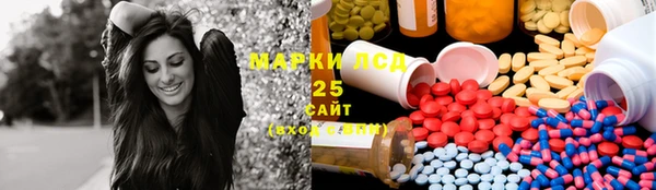 spice Богданович