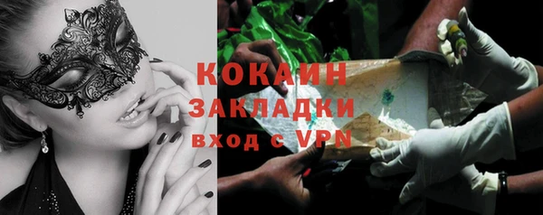 spice Богданович