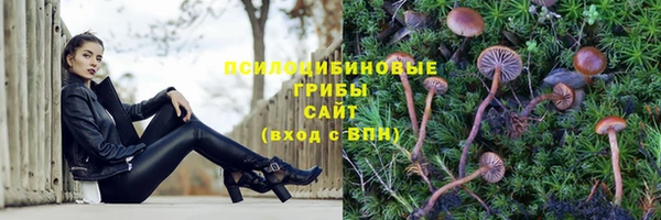 jwh Богородицк