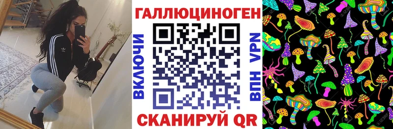 продажа наркотиков  Малая Вишера  Галлюциногенные грибы Psilocybine cubensis 
