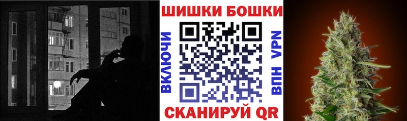 Каннабис гибрид  Малая Вишера 